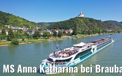 MS Anna Katharina bei Braubach am Rhein 29.06.2019