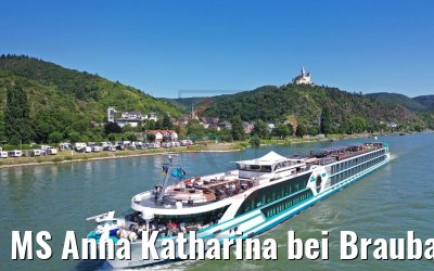 MS Anna Katharina bei Braubach am Rhein 29.06.2019