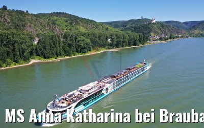 MS Anna Katharina bei Braubach am Rhein 29.06.2019