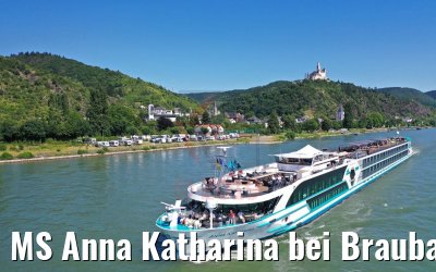 MS Anna Katharina bei Braubach am Rhein 29.06.2019