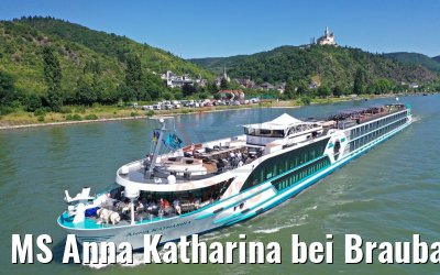 MS Anna Katharina bei Braubach am Rhein 29.06.2019