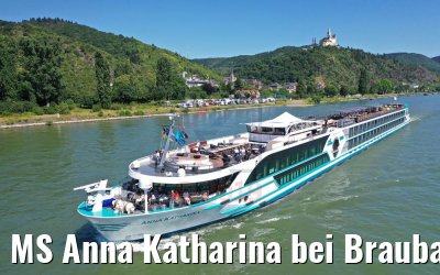 MS Anna Katharina bei Braubach am Rhein 29.06.2019