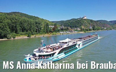 MS Anna Katharina bei Braubach am Rhein 29.06.2019