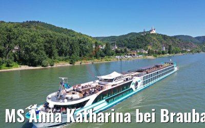 MS Anna Katharina bei Braubach am Rhein 29.06.2019