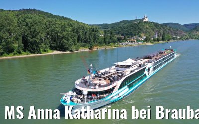 MS Anna Katharina bei Braubach am Rhein 29.06.2019