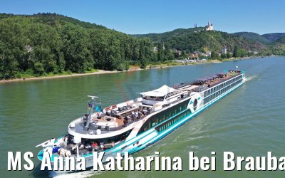 MS Anna Katharina bei Braubach am Rhein 29.06.2019