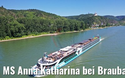 MS Anna Katharina bei Braubach am Rhein 29.06.2019
