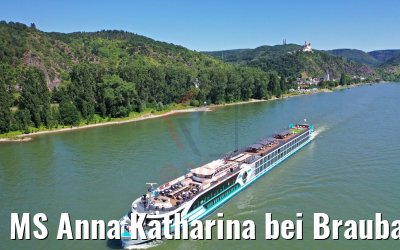 MS Anna Katharina bei Braubach am Rhein 29.06.2019