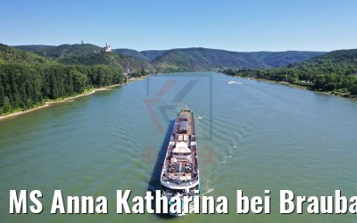 MS Anna Katharina bei Braubach am Rhein 29.06.2019