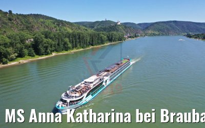 MS Anna Katharina bei Braubach am Rhein 29.06.2019