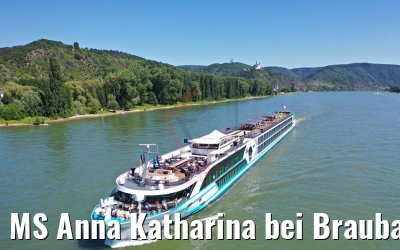 MS Anna Katharina bei Braubach am Rhein 29.06.2019