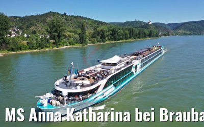 MS Anna Katharina bei Braubach am Rhein 29.06.2019