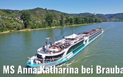 MS Anna Katharina bei Braubach am Rhein 29.06.2019