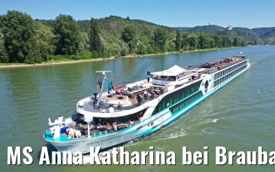 MS Anna Katharina bei Braubach am Rhein 29.06.2019