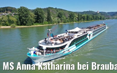 MS Anna Katharina bei Braubach am Rhein 29.06.2019
