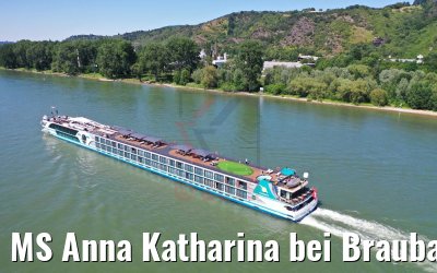 MS Anna Katharina bei Braubach am Rhein 29.06.2019