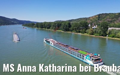 MS Anna Katharina bei Braubach am Rhein 29.06.2019