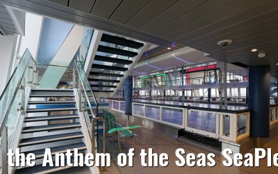 the Anthem of the Seas SeaPlex