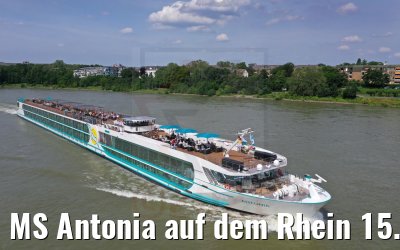 MS Antonia auf dem Rhein 15.06.2021