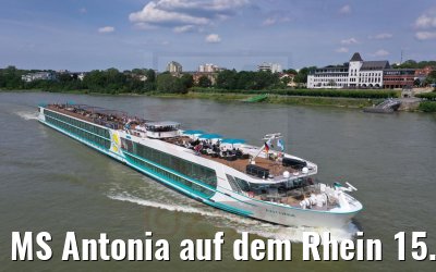 MS Antonia auf dem Rhein 15.06.2021