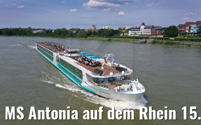 MS Antonia auf dem Rhein 15.06.2021