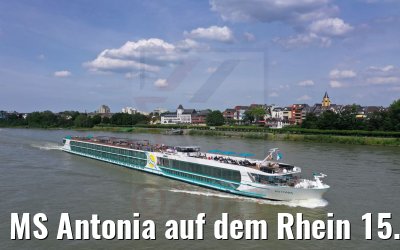 MS Antonia auf dem Rhein 15.06.2021