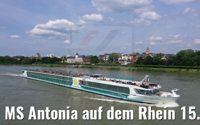 MS Antonia auf dem Rhein 15.06.2021