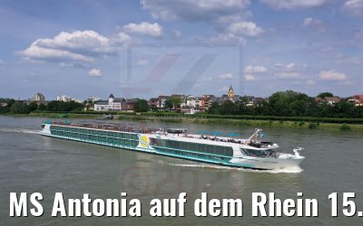 MS Antonia auf dem Rhein 15.06.2021