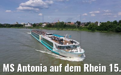 MS Antonia auf dem Rhein 15.06.2021