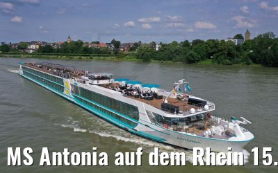 MS Antonia auf dem Rhein 15.06.2021