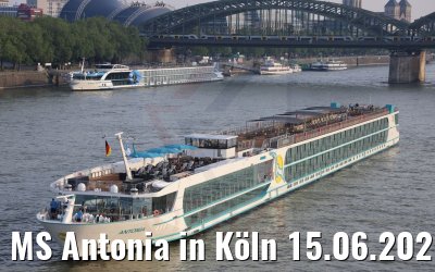 MS Antonia in Köln 15.06.2021