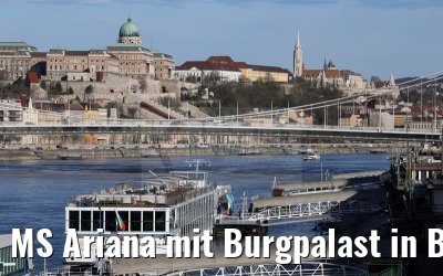 MS Ariana mit Burgpalast in Budapest 01.04.2015