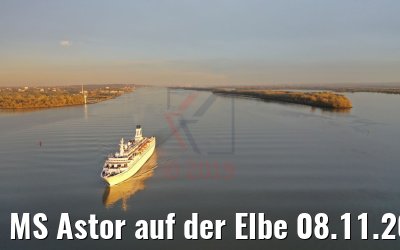 MS Astor auf der Elbe 08.11.2019
