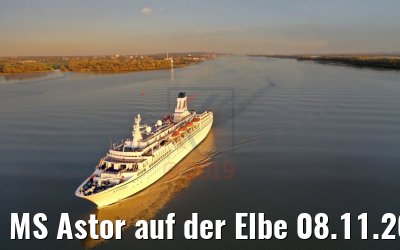 MS Astor auf der Elbe 08.11.2019