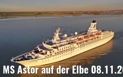 MS Astor auf der Elbe 08.11.2019
