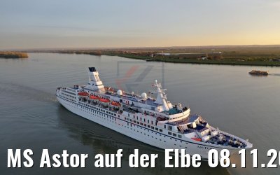 MS Astor auf der Elbe 08.11.2019