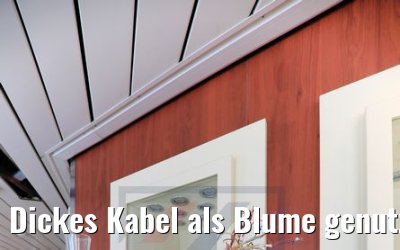 Dickes Kabel als Blume genutzt MS Amera Werftzeit 2019