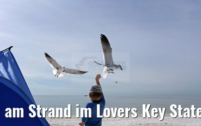 am Strand im Lovers Key State Park