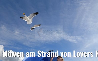 Möwen am Strand von Lovers Key