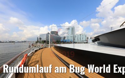 Rundumlauf am Bug World Explorer