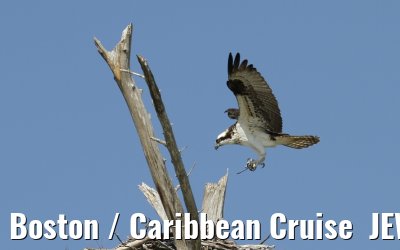 Boston / Caribbean Cruise  JEWEL OF THE SEAS - Florida - October / November 2010