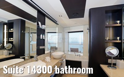 Suite 14300 bathroom
