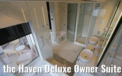 the Haven Deluxe Owner Suite 17102 bathroom