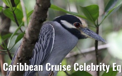 Caribbean Cruise Celebrity Equinox 2010