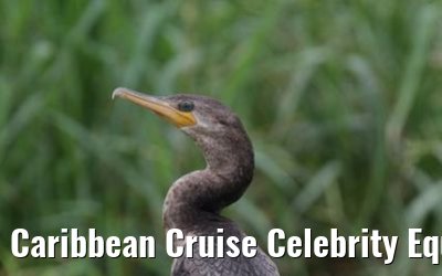 Caribbean Cruise Celebrity Equinox 2010