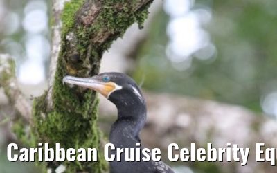 Caribbean Cruise Celebrity Equinox 2010