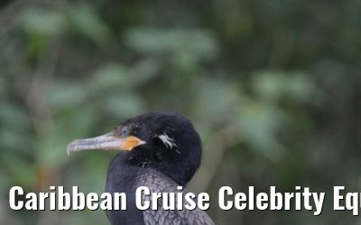 Caribbean Cruise Celebrity Equinox 2010