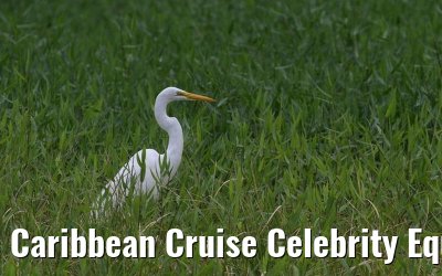 Caribbean Cruise Celebrity Equinox 2010