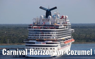 Carnival Horizon vor Cozumel 07.03.2019 Photo: M. Barzantny