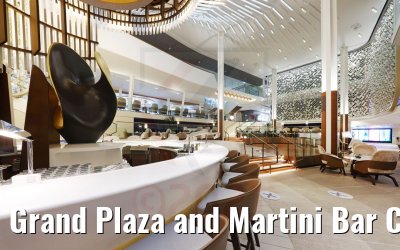 Grand Plaza and Martini Bar Celebrity Apex